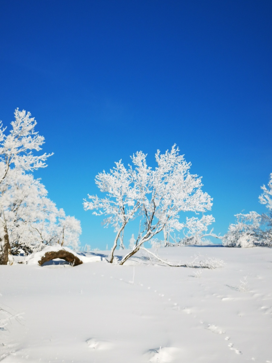 驰风驭雪粉雕玉砌骄颜色心旷神怡千万银龙舞艳阳