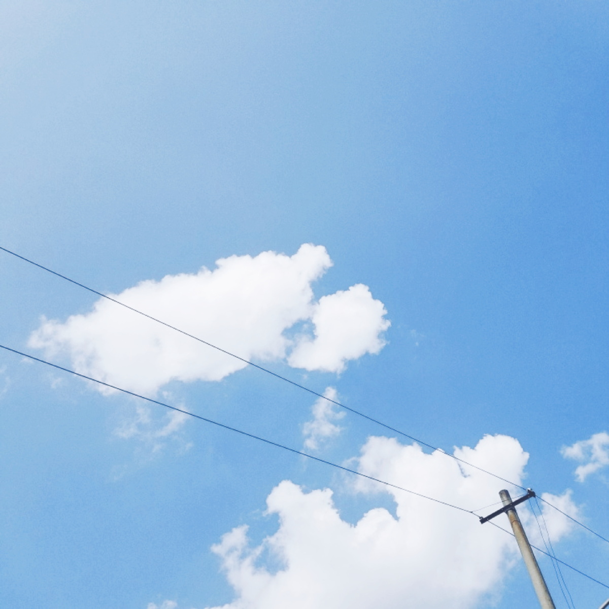 好天气才有好心情呀