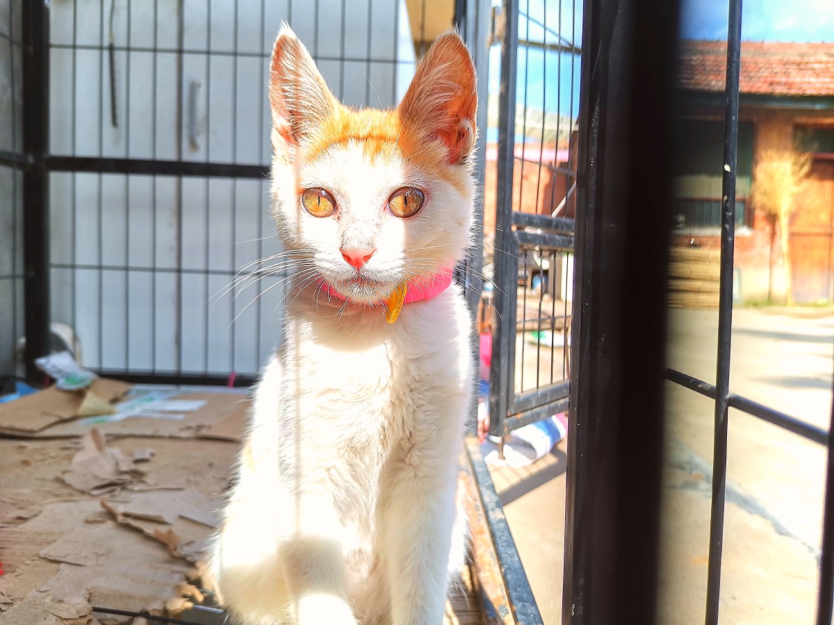 糖糖是个美女 - 妍妍很忙 - 图虫