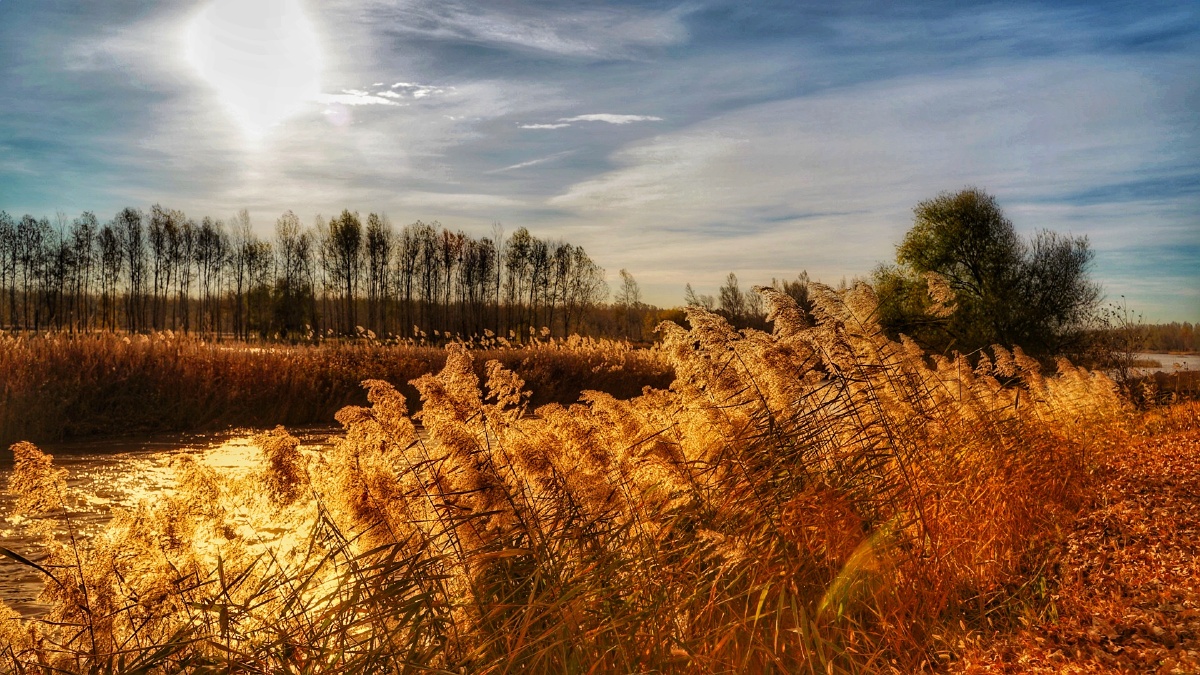 来吉林白城看秋天,北方的秋景让人难忘.