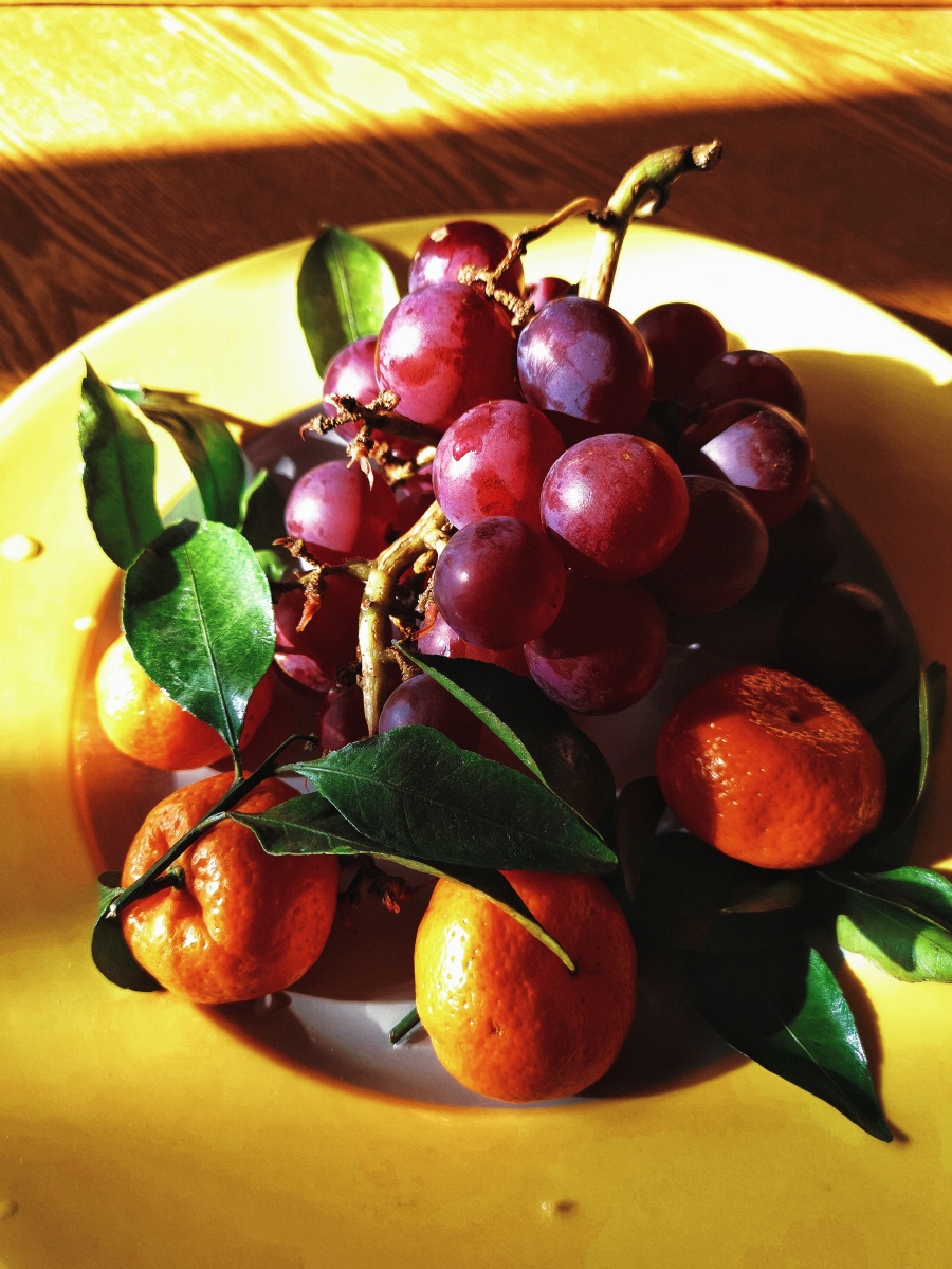 暖色橙系手机静拍