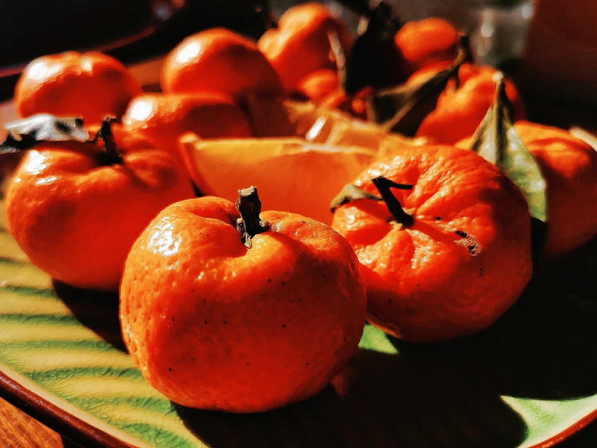 暖色橙系手机静拍