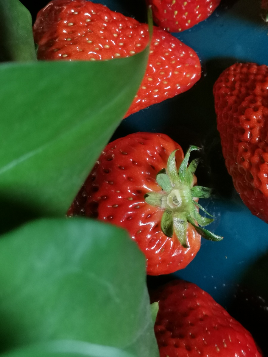 芳香宜人的凤梨草莓