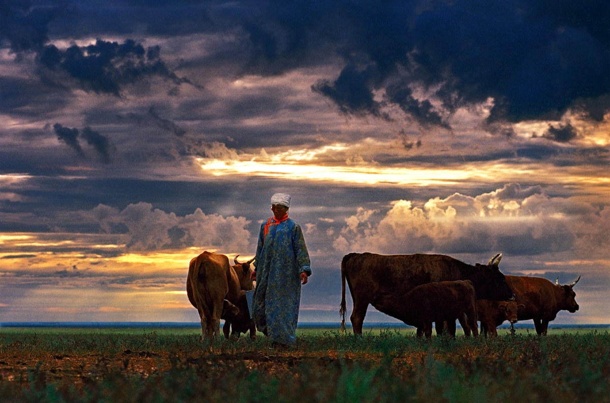 大漠孤烟直,长河落日圆,几组内蒙采风,别具风情 - 宏岩利笔 - 图虫