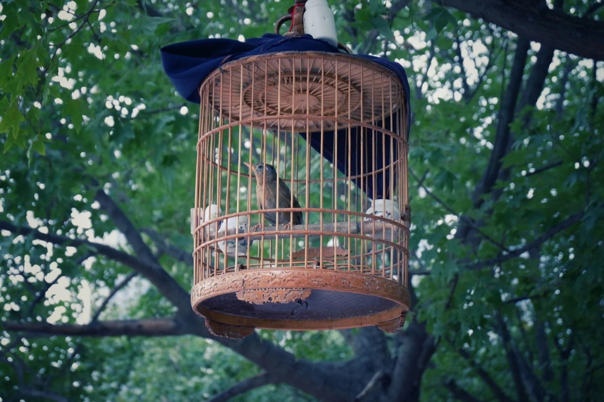 久在樊笼里复得返自然