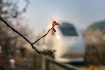 355990