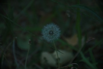 1308502