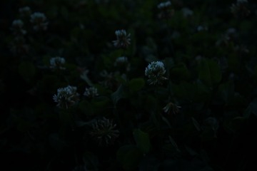 1308499