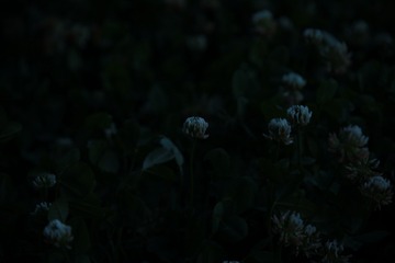 1308497