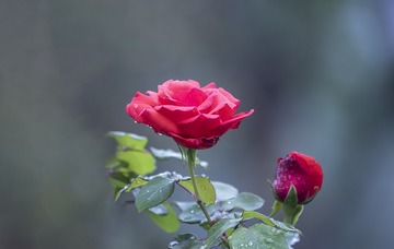5BE7609B-DCCF-4D9B-ADF8-735BD64465B2/L0/001