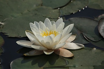 IMG_1439_
