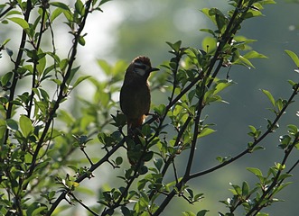 IMG_1398_