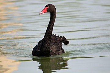 IMG_4221_