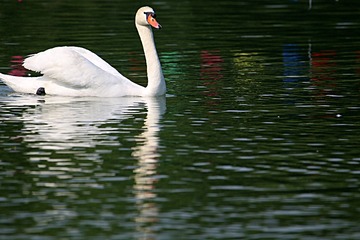 IMG_4213_
