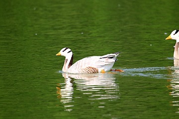 IMG_4218_