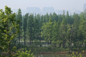 IMG_1338_
