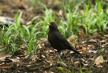 IMG_1600_