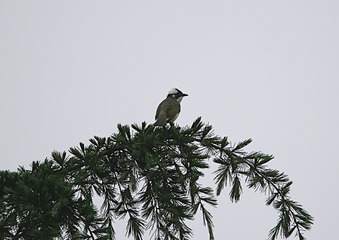 IMG_1609_