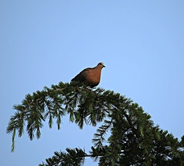 IMG_1914_