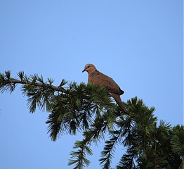 IMG_1917_
