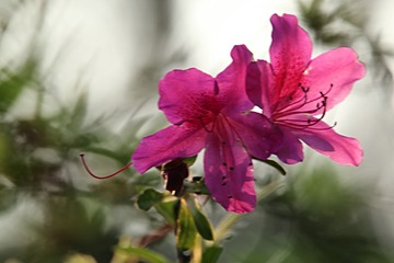 IMG_1947_