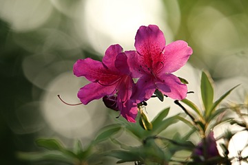 IMG_1946_