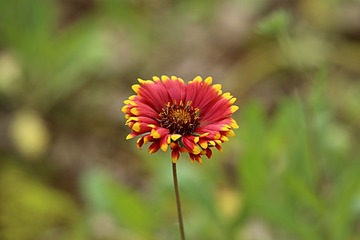 IMG_2182_