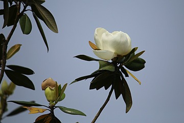 IMG_2230_