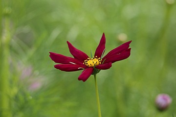 IMG_2403_