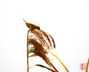 B80A6686