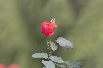 A3A624D8-0C6C-40CF-9792-80EC24CB7955/L0/001