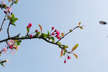 Optional("1E23D8A4-8527-4D19-9F76-30A1DB29DC8F/L0/001")
