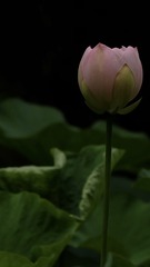 7F2AE5E4-DCB8-4AB0-AE8B-2D3574B108BF/L0/001