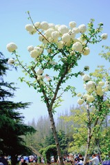 D81A04A1-5560-4E52-9F0A-51EA000CF0F2/L0/001
