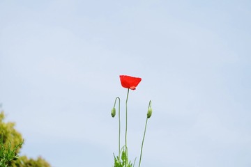 Optional("0D3AFD15-5EB9-46B9-B902-FBEBD2AD1B3A/L0/001")