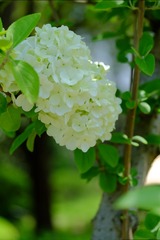 AB4BFAD0-A755-45A6-8A3A-6D48DDB1817F/L0/001