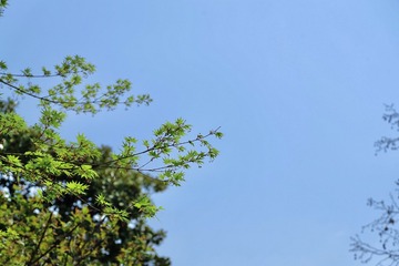 Optional("9752CFAF-D20F-4B76-A74B-7DCBE5079834/L0/001")