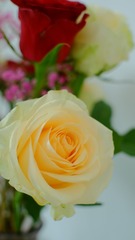 585420D2-A5E2-4612-8F72-CAD6A1350F25/L0/001