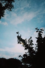 C1E63DFB-06BD-4F6A-A41D-D892F00FAF77/L0/001