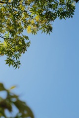 6F1E78CC-64C1-4D25-AD13-A2E8684D630B/L0/001