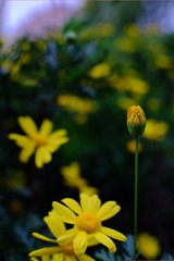 C574354F-7B25-4370-A6B9-07A36F6CED34/L0/001