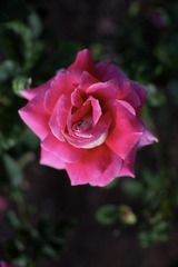 329303BE-5E09-4829-8169-AAE9EF017A7B/L0/001