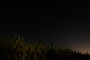 D0E7783D-9C49-47A7-BF15-7F7ABEFD8E63/L0/001