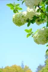 35ED8B0A-43D0-4C54-BEFC-594BD13BFAA2/L0/001
