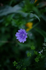 270F2F97-B27E-4F28-9D41-2E84D4904913/L0/001