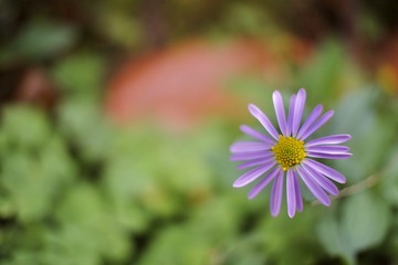 C6036975-65C7-40CF-AFC1-C0D414908DA9/L0/001