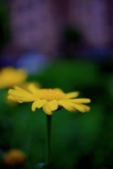615169D3-4927-4F42-82CB-59F0E9AF6E9A/L0/001