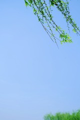 72A7341F-F8A6-488B-997C-9EC69ECC66C0/L0/001