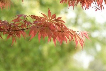 Optional("85B72F73-76B5-4705-B6FD-CCD1AF707AE8/L0/001")