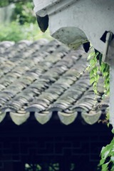86F4ED0A-1384-4D33-BF57-49A172B62947/L0/001